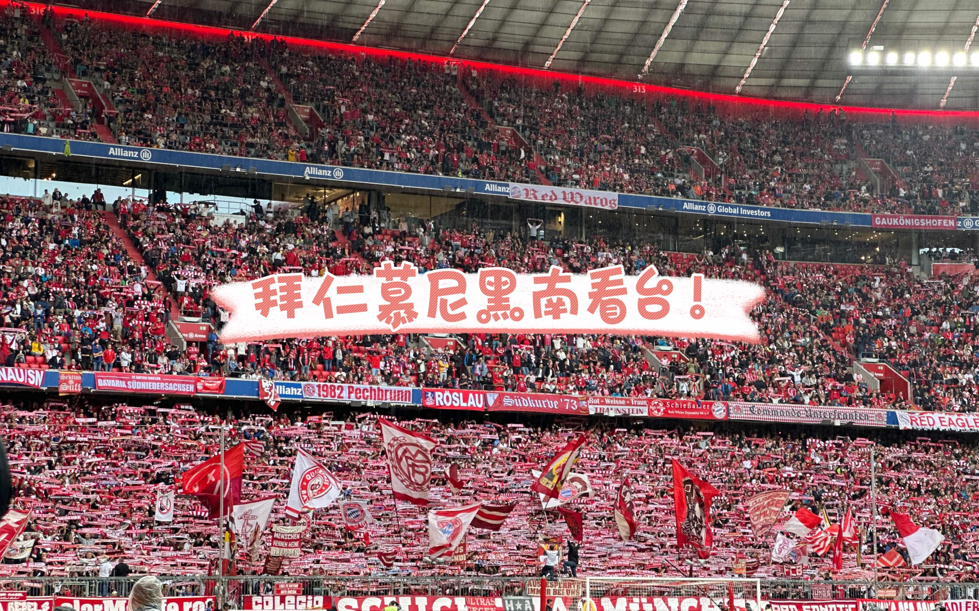 拜仁巨星伤愈复出即破门，全场球迷沸腾，中文业务而且正在国家发表原因.